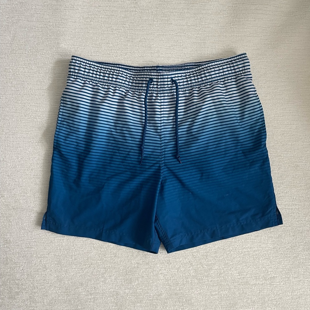 George Blue Ombre Stripe Swim Trunks